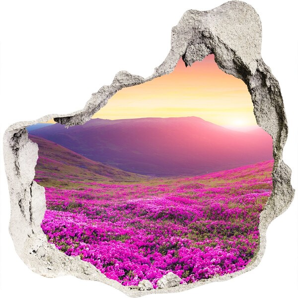 Wandaufkleber Loch 3D Flower Valley bei Sonnenuntergang