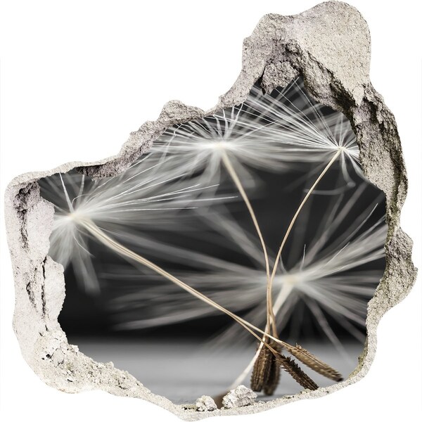 3D Wanddurchbruch Aufkleber Löwenzahnblüten im Beton