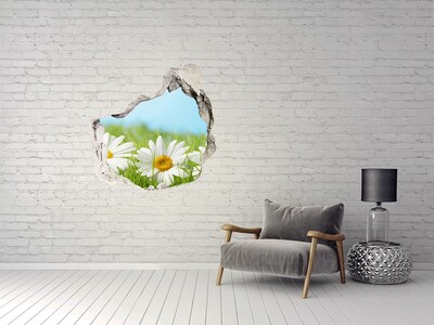 Wandfolien Loch in der Wand Blumen auf einer grünen Wiese