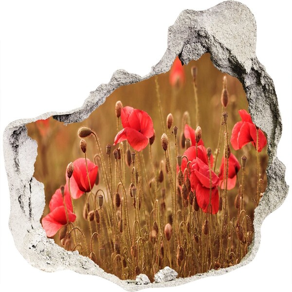 Wandfolien Loch in der Wand Blumen zwischen der zerstörten Mauer