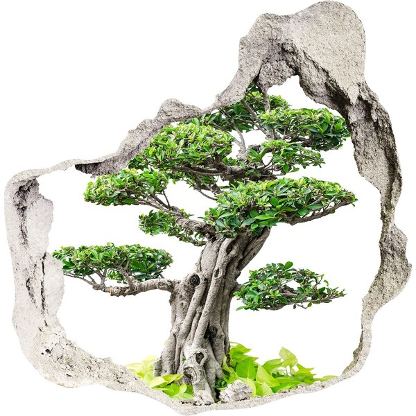 3D Wandtattoos Mauerdurchbruch Bonsai in einem Loch in der Wand