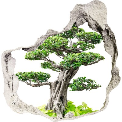 3D Wandtattoos Mauerdurchbruch Bonsai in einem Loch in der Wand