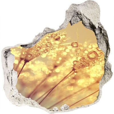 Wandfolien Loch in der Wand Goldene Wiesen im Sonnenlicht