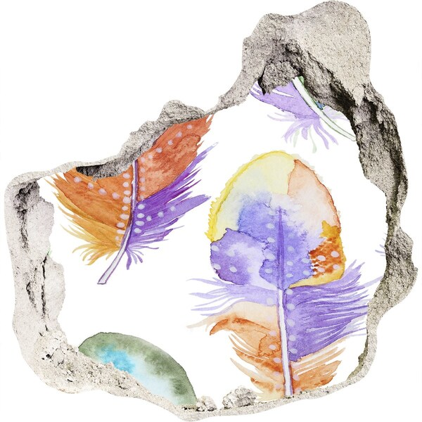 Wandtattoos Loch in der Wand Bunte Federn an der Wand im Hintergrund