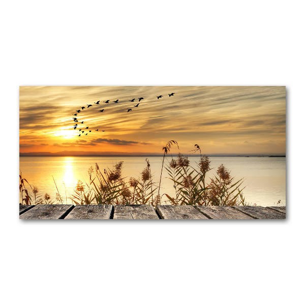 Acrylbild Fotodruck Pier am See