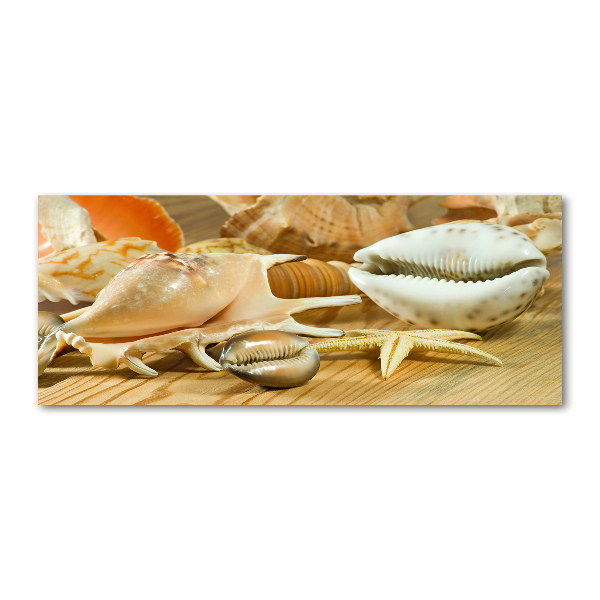 Foto auf Acryl Muscheln auf Holz