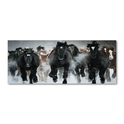 Acrylglas-Druck Pferde im Galopp