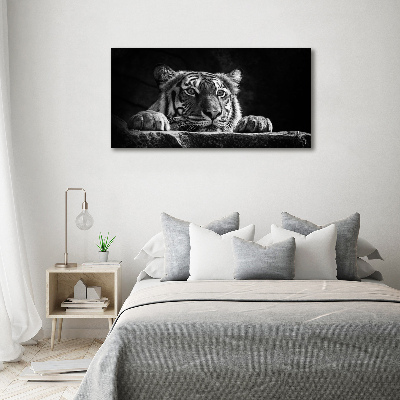 Foto auf Acryl Tiger