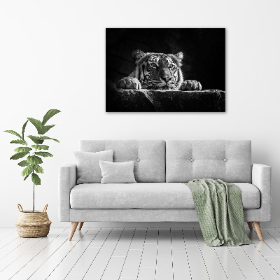 Foto auf Acryl Tiger