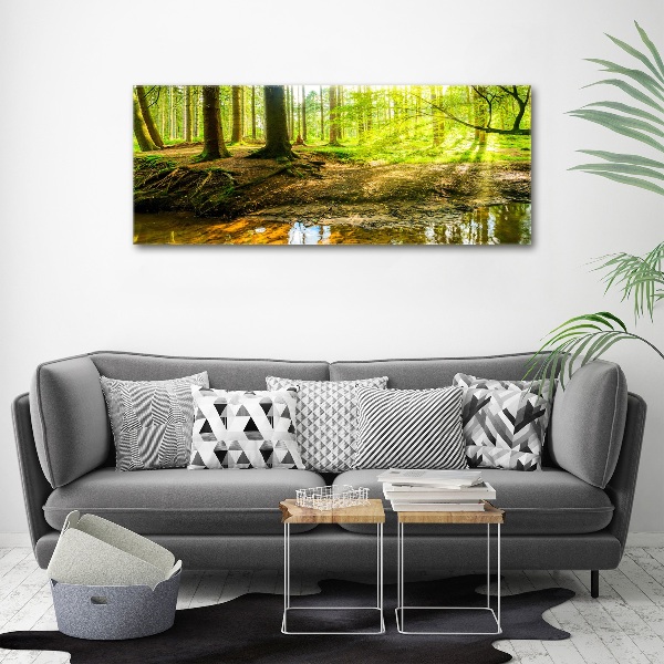 Acrylbild Fotodruck Sonnenstrahlen im Wald
