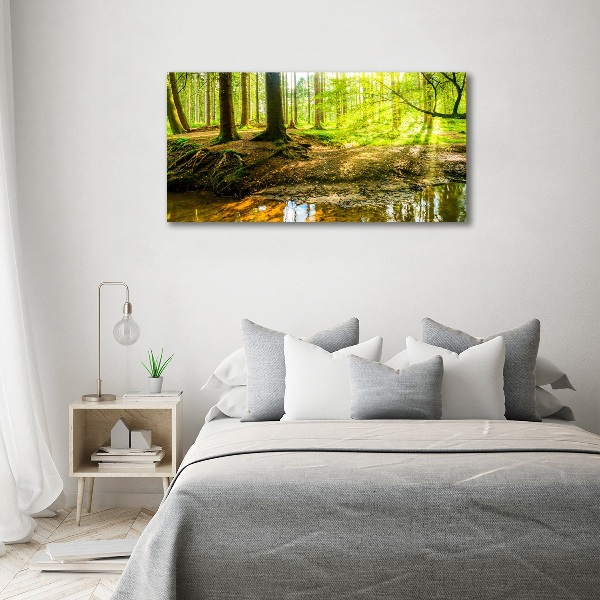 Acrylbild Fotodruck Sonnenstrahlen im Wald