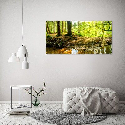 Acrylbild Fotodruck Sonnenstrahlen im Wald