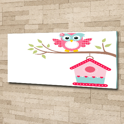 Foto auf Acryl Eule auf einem Ast