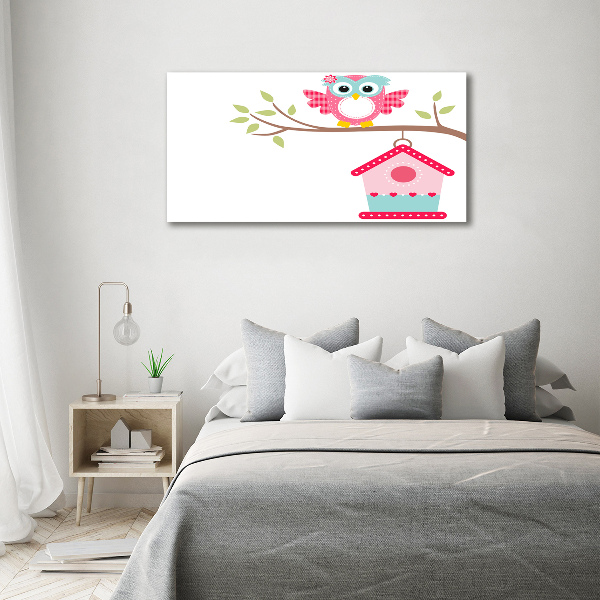 Foto auf Acryl Eule auf einem Ast