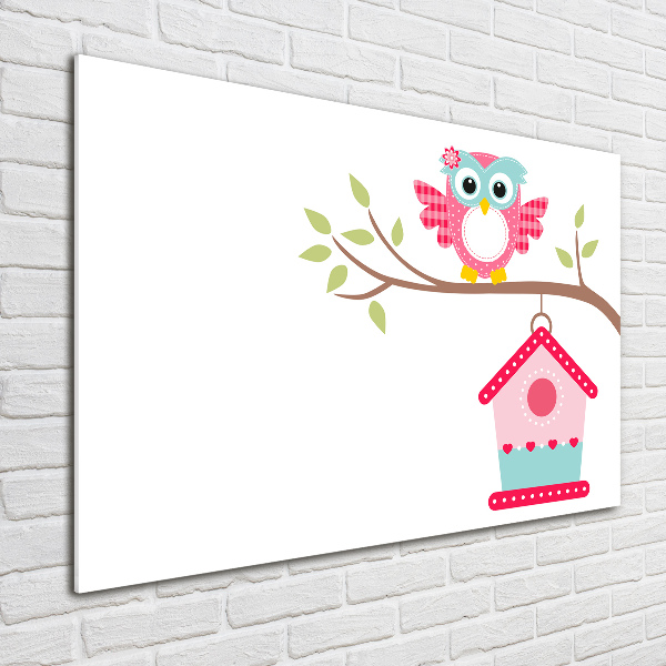 Foto auf Acryl Eule auf einem Ast