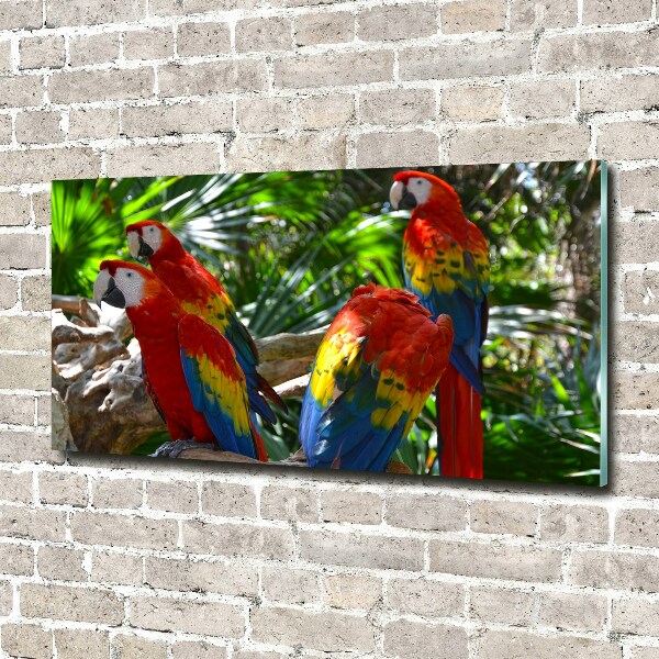 Acrylbild Fotodruck Aras