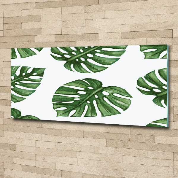 Acrylbild Fotodruck Monstera