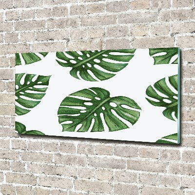Acrylbild Fotodruck Monstera