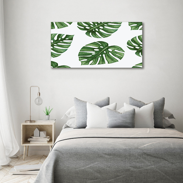 Acrylbild Fotodruck Monstera