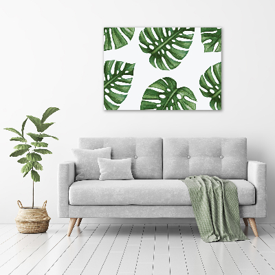 Acrylbild Fotodruck Monstera