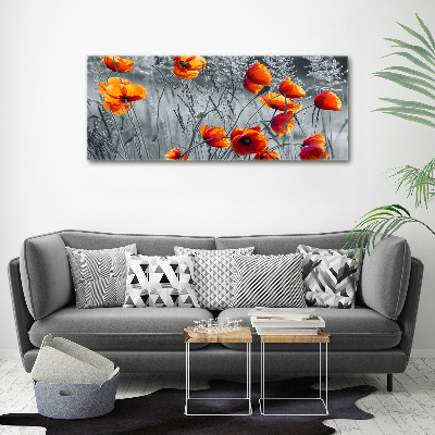 Foto auf Acryl Wildmohn