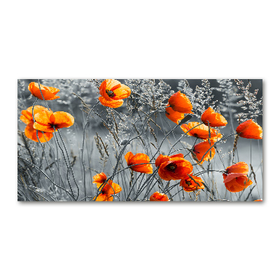 Bild auf Acrylglas Wildmohn