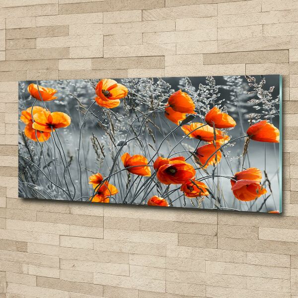Bild auf Acrylglas Wildmohn