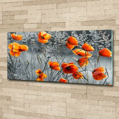 Bild auf Acrylglas Wildmohn