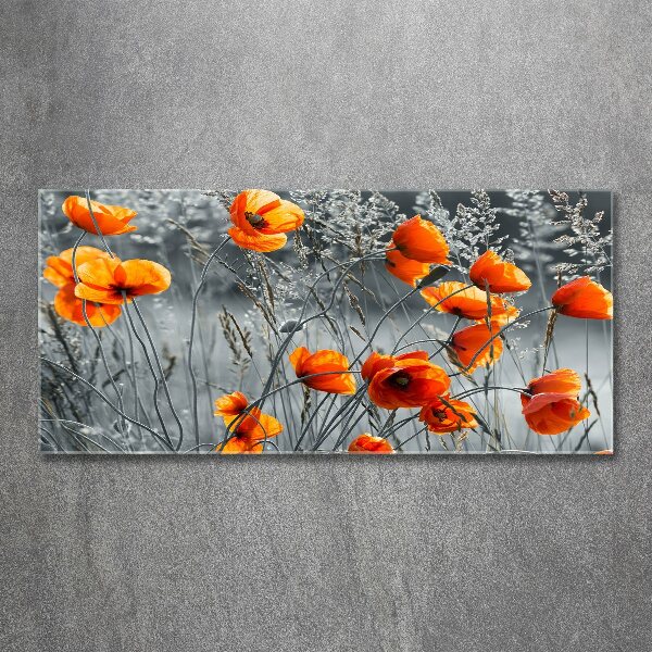 Bild auf Acrylglas Wildmohn