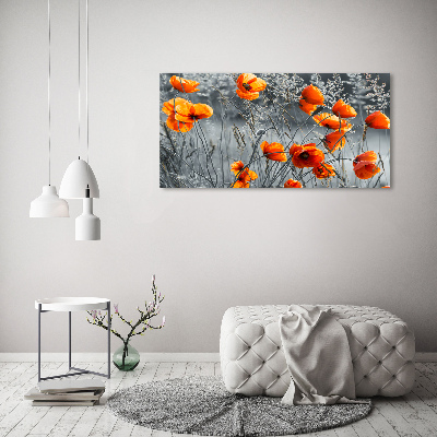 Bild auf Acrylglas Wildmohn