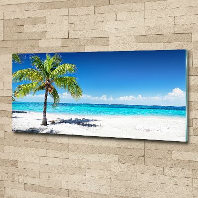 Acrylbild Fotodruck Tropischer Strand