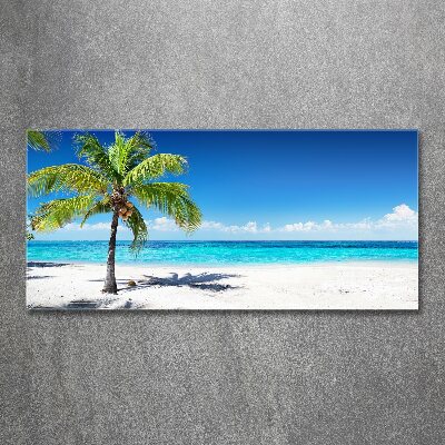 Acrylbild Fotodruck Tropischer Strand