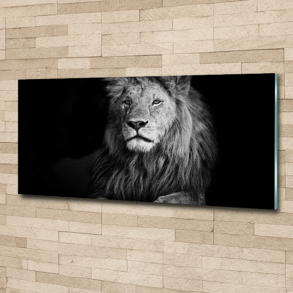 Acrylglas-Druck Löwe