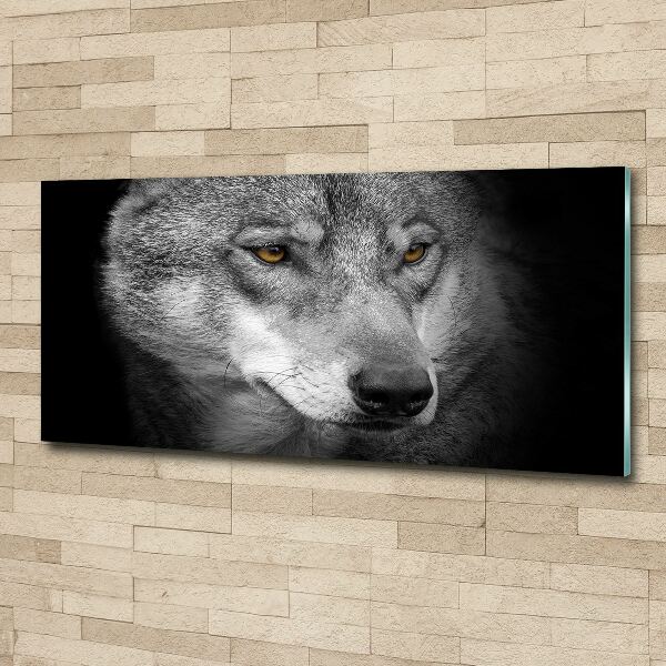 Foto auf Acryl Wolf
