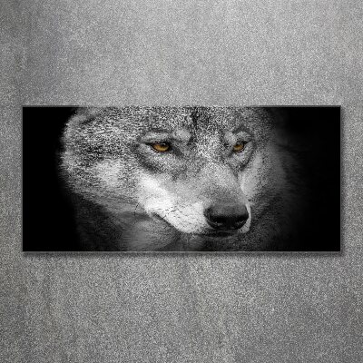 Foto auf Acryl Wolf