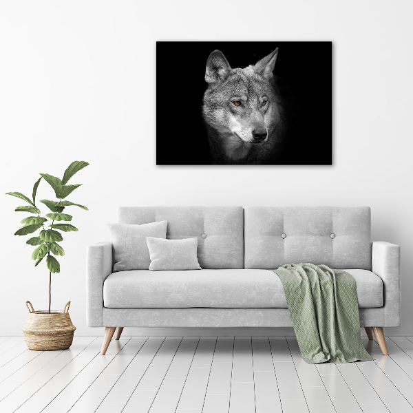 Foto auf Acryl Wolf