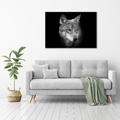 Foto auf Acryl Wolf