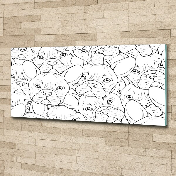 Foto auf Acryl Französische Bulldoggen