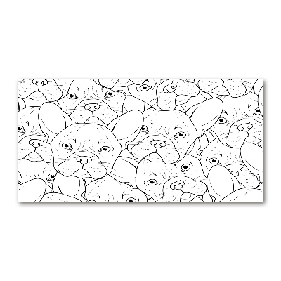 Foto auf Acryl Französische Bulldoggen