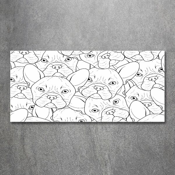 Foto auf Acryl Französische Bulldoggen