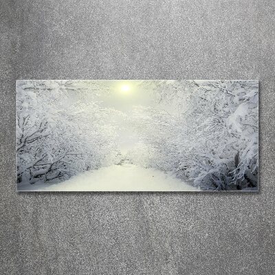 Bild auf Acrylglas Wunderschöner Wald im Winter