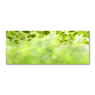 Acrylglas-Druck Blätter