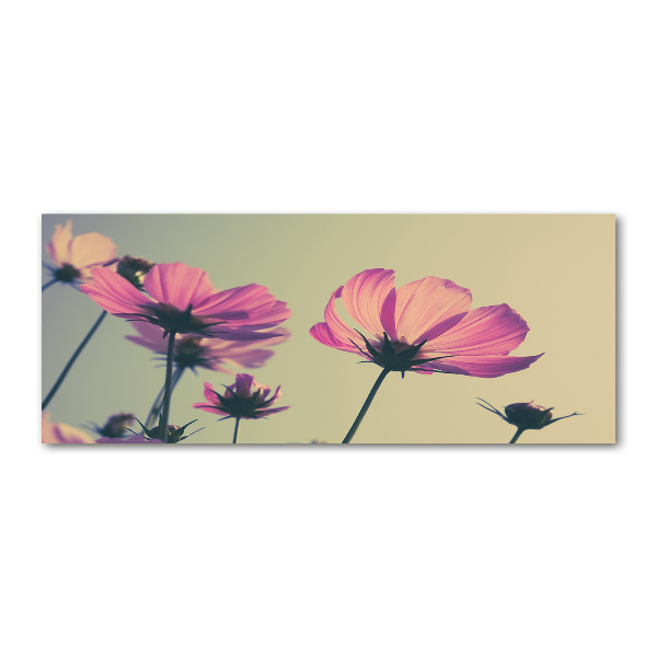 Bild auf Acrylglas Rosa Blüten