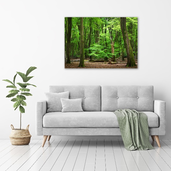 Acrylbild Fotodruck Holländischer Wald