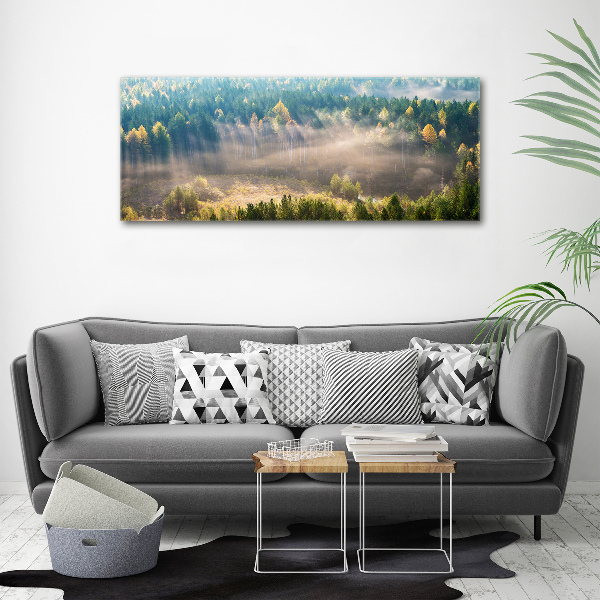 Foto auf Acryl Nebel im Wald