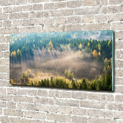 Foto auf Acryl Nebel im Wald