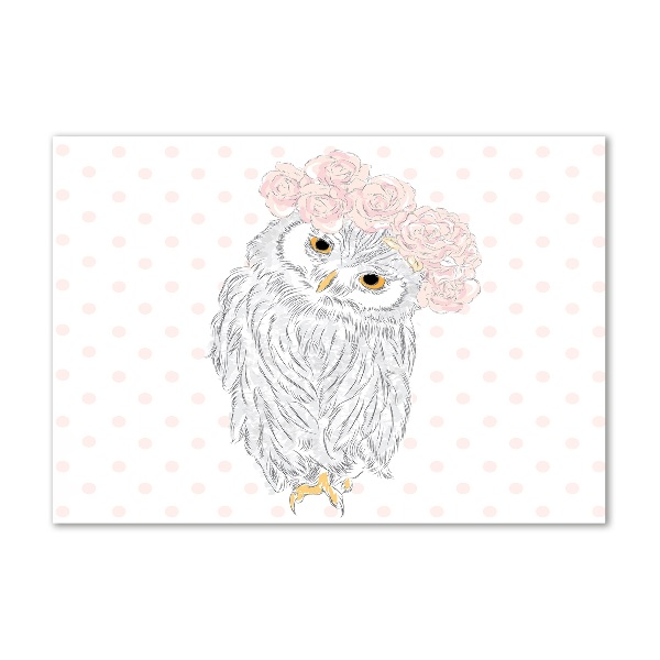 Acrylbild Fotodruck Eule im Kranz