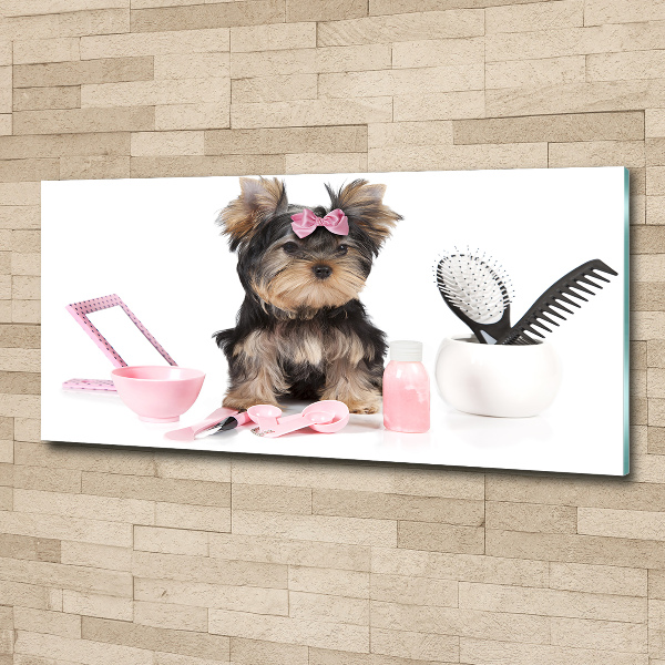 Acrylglas-Druck Yorkshire Kosmetik