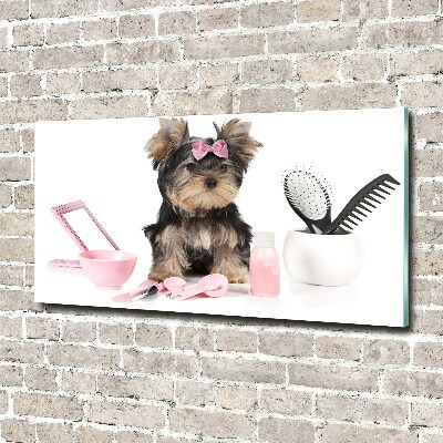 Acrylglas-Druck Yorkshire Kosmetik