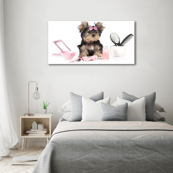 Acrylglas-Druck Yorkshire Kosmetik